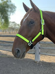 Reflective Halter